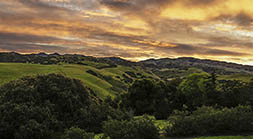 Morning in the Pastures of Heaven